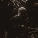 dumbcomet
