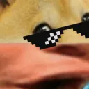 poggodoggo