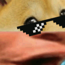 poggodoggo