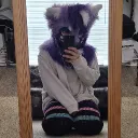 imlynxarus