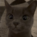 avatar bajablastsquirtmaster