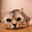 chenglu_