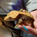 ryuryu777g639's Avatar