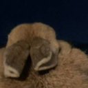 avatar nano(INACTIVE)