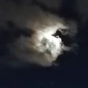 __sleeplessnights__