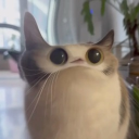 avatar !     Doc Martini