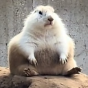 avatar !     Doc Martini