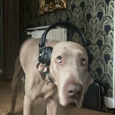 avatar clem_la daronneeu