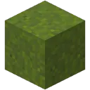 greenconcretepowder