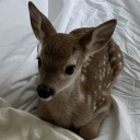 avatar 𝓂𝒶𝓀𝒾. ˖ ۶ৎ ⊹