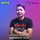 sherwinjay016unix6guild866511