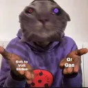 voltstrikeisback avatar