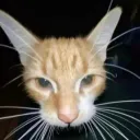 ajbeaver25
