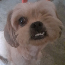 bambam