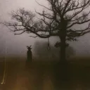 abandoned_account5100