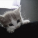 avatar 𝓐𝓮𝓻𝓲𝓮