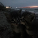 avatar 𝓐𝓮𝓻𝓲𝓮