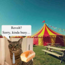 avatar Machiavellisto