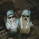 elpaletas4khd564 avatar