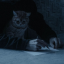 avatar ✮Zyran Astraeus✮