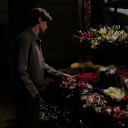 avatar ✮Zyran Astraeus✮