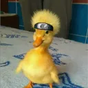 farrbodd