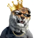 samiqttigerman