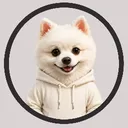 mallowsthepomeranian
