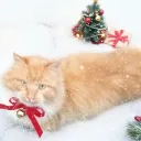 Аватар vadim6721