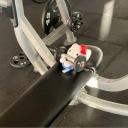 avatar siestacalista