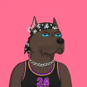 drblucat33.