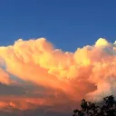 .carlosthehuman