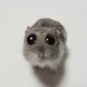 minni8725