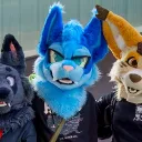 spiralyfox