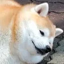 k9s_na