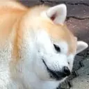 k9s_na