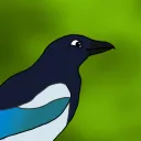 morganamagpie