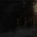 .d.d1
