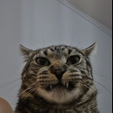 avatar 린카