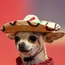 erneto