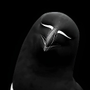 avatar falsememory.