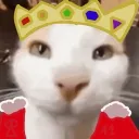 nicocaresforyou