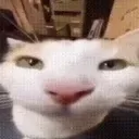 .kirboi_