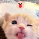 avatar keala