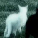 hxx_.ru