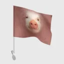 hitriypig