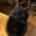 natsumiaow