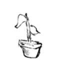 avatar vernyern 𖧧