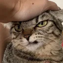プレイヤーアイコン