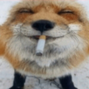 avatar TranHuyLongEF;}